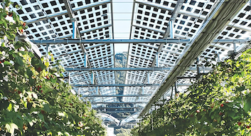 آخرین وبلاگ های شرکت در مورد ایتالیا مقررات جدیدی را در مورد انتخاب محل پروژه های خورشیدی و مشوق های مالیاتی خورشیدی منتشر می کند.